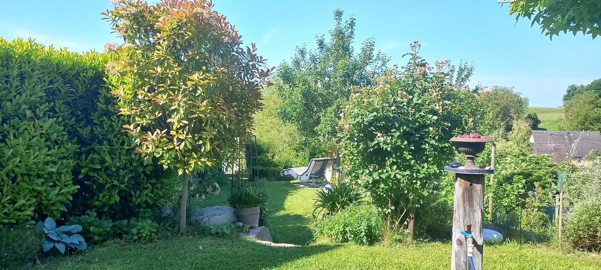 Ferienwohnung Rebgaertle Britzingen Eksteriør bilde